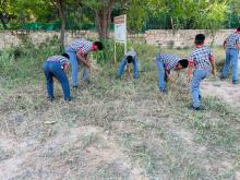 SWACHHATA HI SEVA